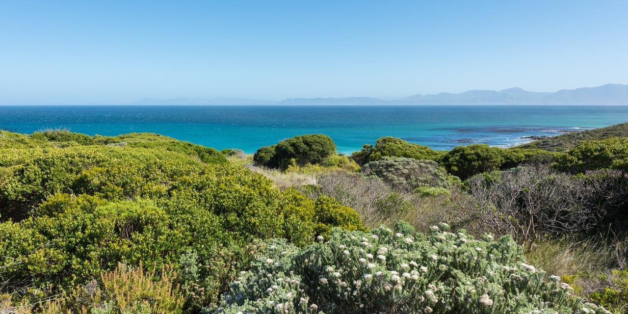 Romans Villa Gansbaai Bagian luar foto