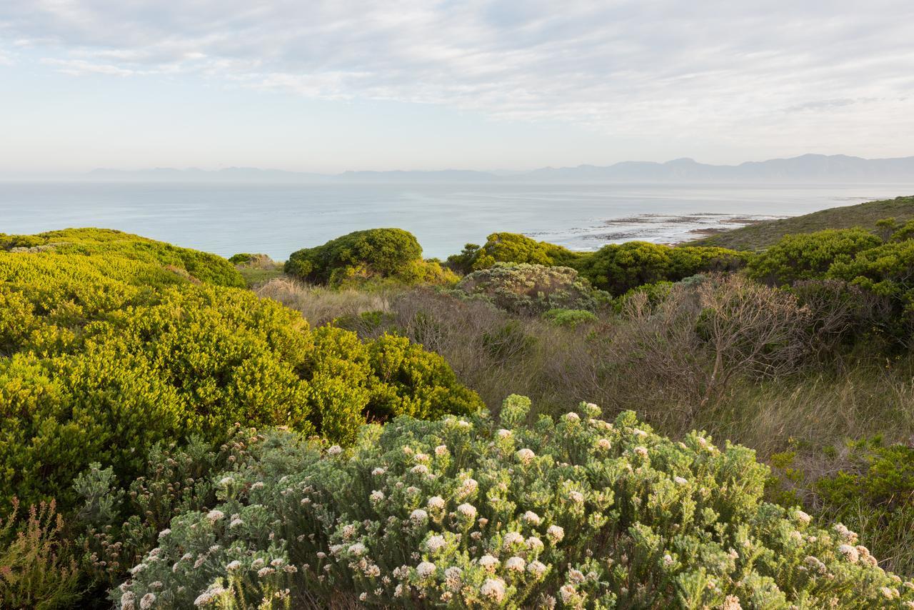 Romans Villa Gansbaai Bagian luar foto